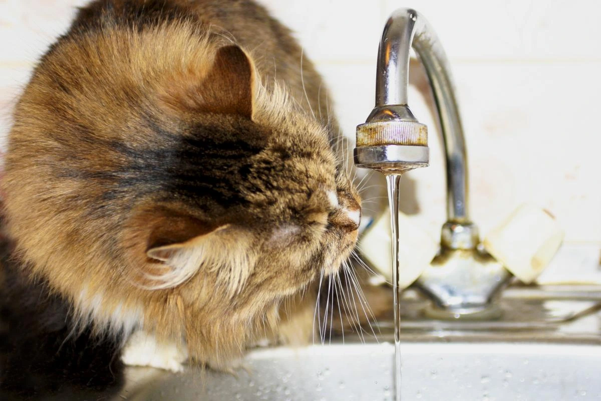 "Великі міста опиняться в катастрофічній ситуації": експерт розкрив нову ціль ударів РФ