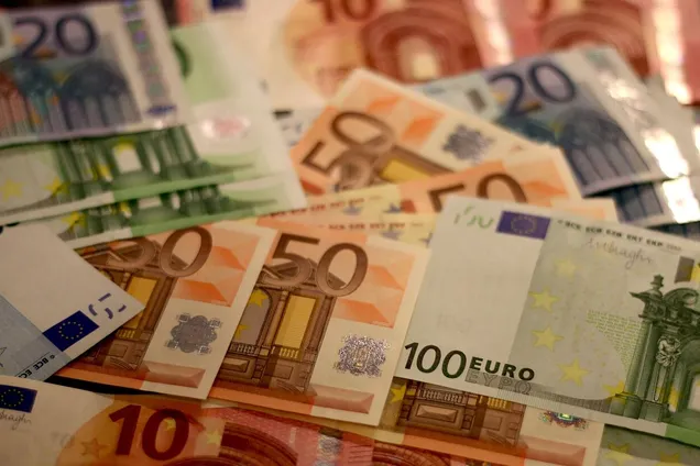 Перехід України на євро: в МВФ зробили заяву