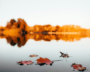 В Україну йде потепління до +17°С, але зі штормовим вітром