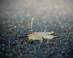 Українців здивували прогнозом на другий день зими