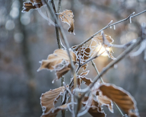 Синоптики дали прогноз на понеділок