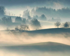 Сухо, невеликий туман: синоптики озвучили прогноз перед святами