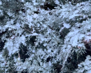 В Україну йде потужне похолодання з морозами до -24°C