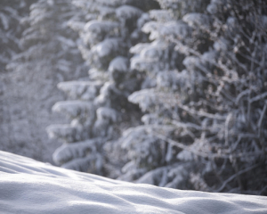 Синоптики прогнозують різке похолодання в Україні на вихідні