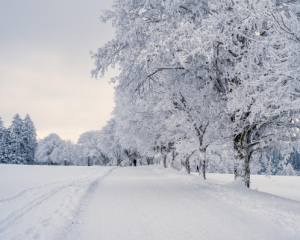 Після морозів – знову сюрприз: синоптикиня розповіла про погоду на найблжчі дні