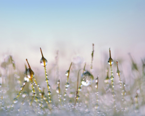 Сніг із дощем та ожеледиця: синоптики оновили прогноз на середу