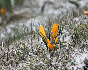 Циклон принесе опади – оновлений прогноз на середу