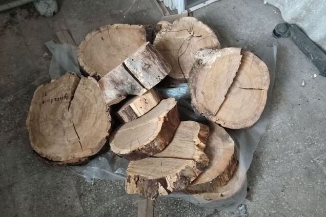 В українця конфіскували за борги розпиляний пень та виставили на аукціон: яка ціна лоту